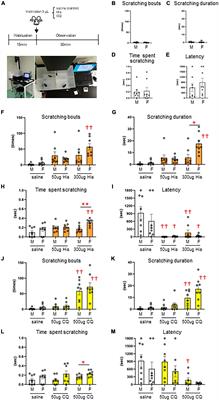 Function of gastrin-releasing peptide receptors in ocular itch transmission in the mouse trigeminal sensory system